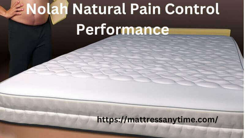 Nolah Natural Pain Control Performance